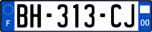 BH-313-CJ