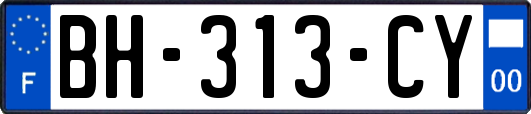 BH-313-CY