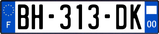 BH-313-DK