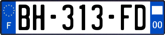 BH-313-FD