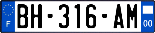 BH-316-AM