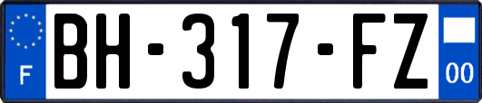 BH-317-FZ