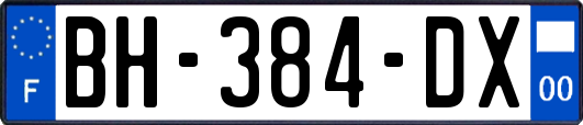 BH-384-DX