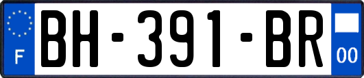 BH-391-BR
