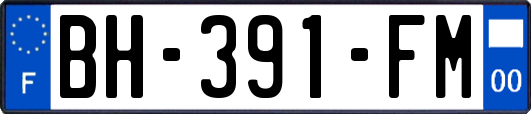BH-391-FM