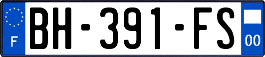 BH-391-FS