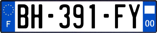 BH-391-FY
