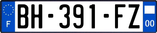 BH-391-FZ