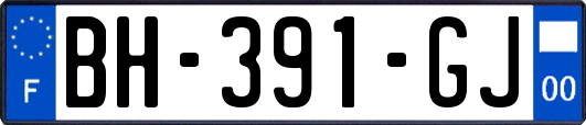 BH-391-GJ