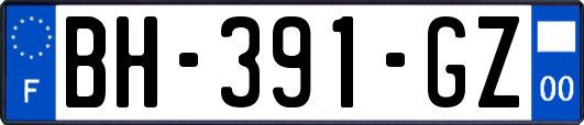 BH-391-GZ