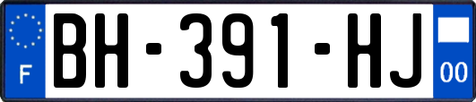 BH-391-HJ