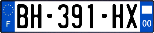 BH-391-HX