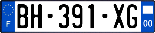 BH-391-XG
