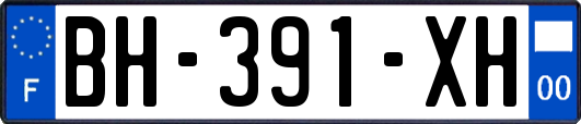 BH-391-XH