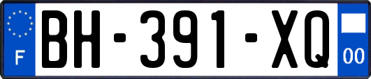 BH-391-XQ