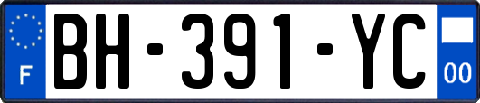 BH-391-YC
