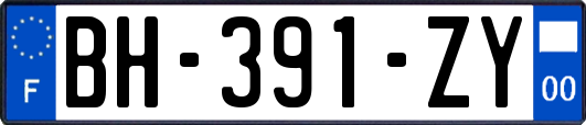 BH-391-ZY
