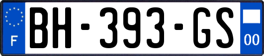 BH-393-GS