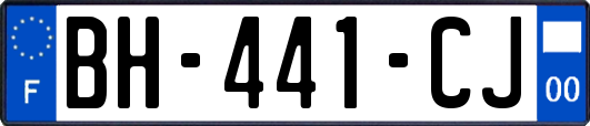 BH-441-CJ