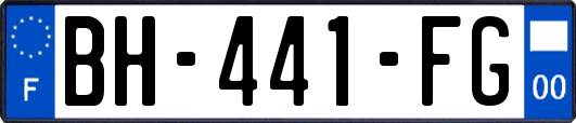 BH-441-FG