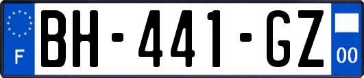 BH-441-GZ