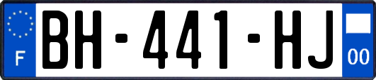BH-441-HJ