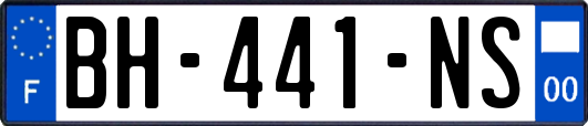 BH-441-NS