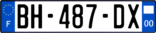 BH-487-DX