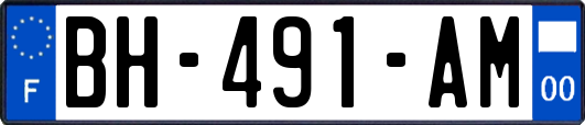 BH-491-AM