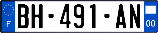 BH-491-AN