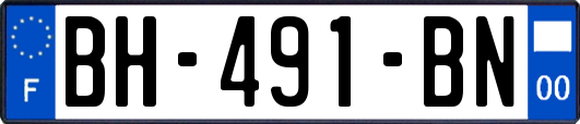 BH-491-BN