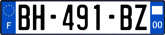 BH-491-BZ