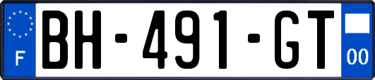 BH-491-GT
