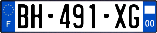 BH-491-XG