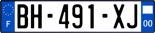 BH-491-XJ