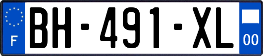 BH-491-XL