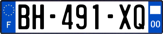 BH-491-XQ