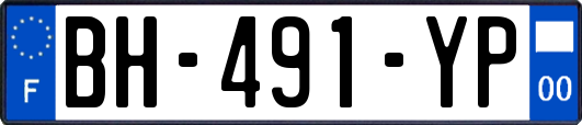 BH-491-YP