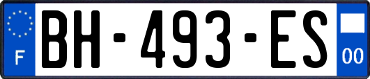 BH-493-ES