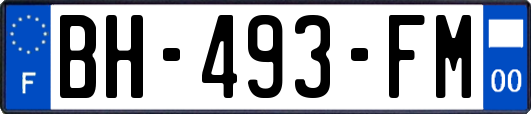 BH-493-FM