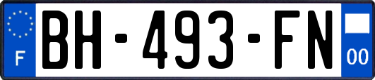 BH-493-FN