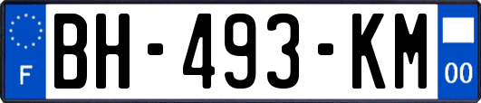 BH-493-KM
