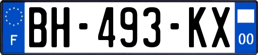 BH-493-KX