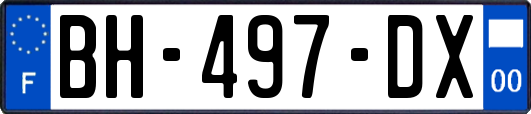 BH-497-DX