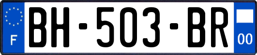 BH-503-BR