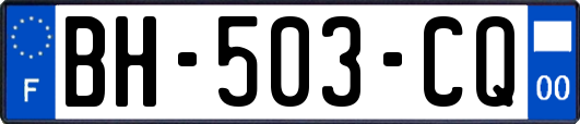 BH-503-CQ