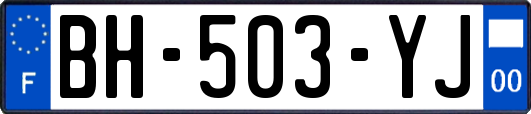 BH-503-YJ