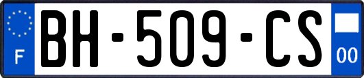 BH-509-CS