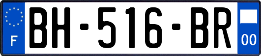 BH-516-BR