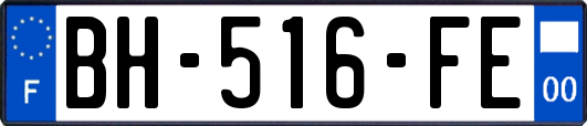 BH-516-FE